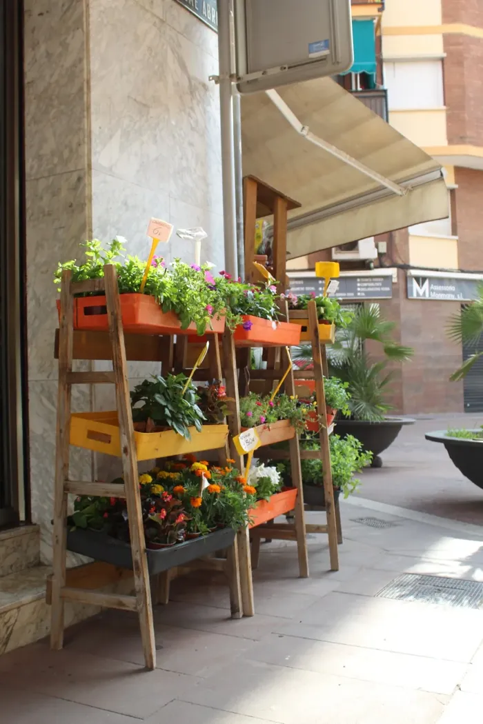 Expositor de plantas en la entrada de la tienda